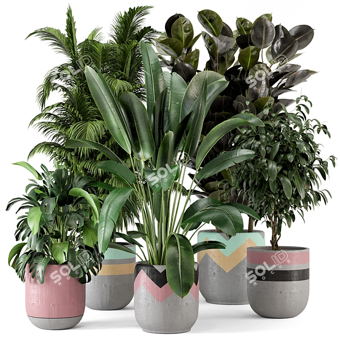 Rustic Concrete Pot Indoor Plants Set 3D model image 1