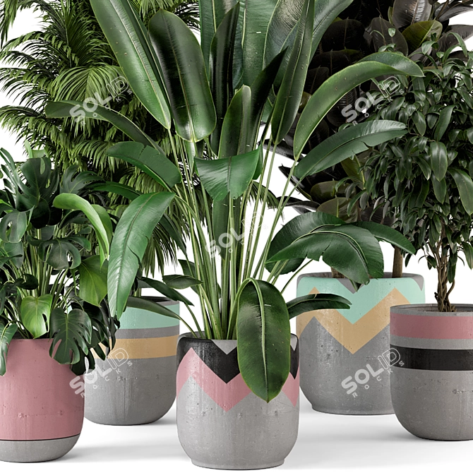 Rustic Concrete Pot Indoor Plants Set 3D model image 6