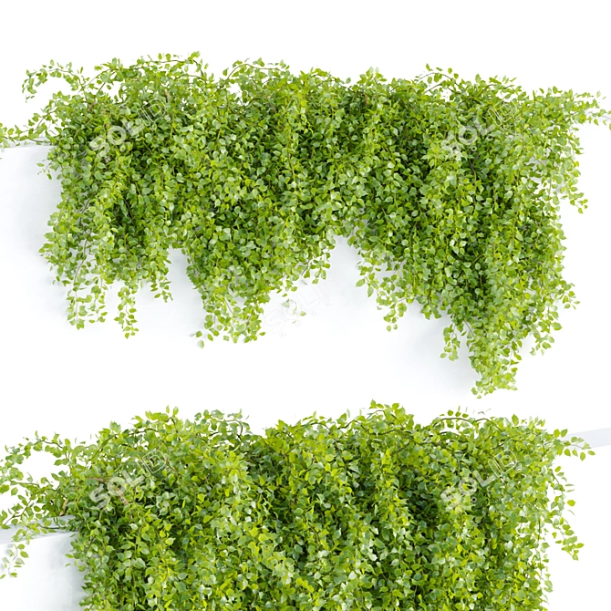 3D Hanging Wall Plants Vol. 64 3D model image 2