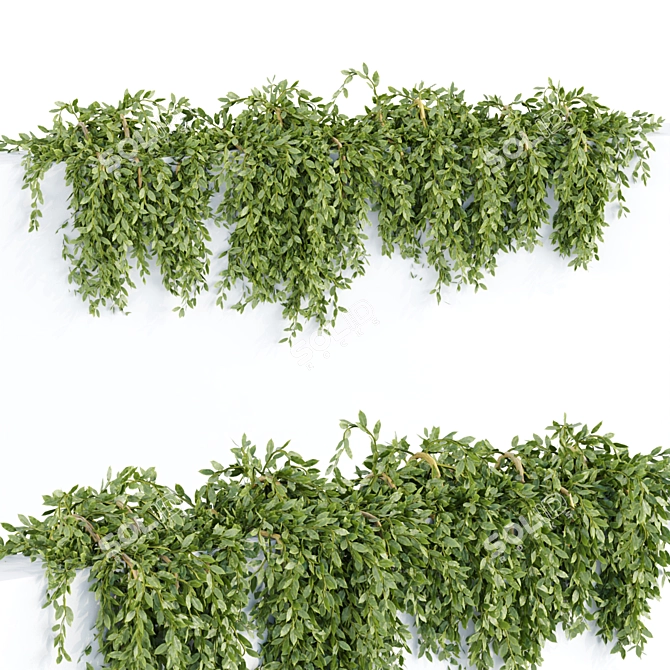 3D Hanging Wall Plants Vol. 64 3D model image 4