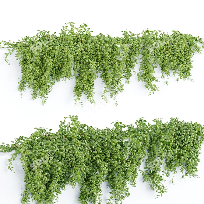 3D Hanging Wall Plants Vol. 64 3D model image 5