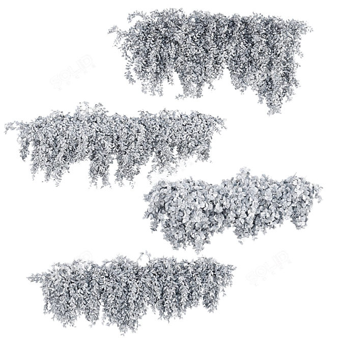 3D Hanging Wall Plants Vol. 64 3D model image 6