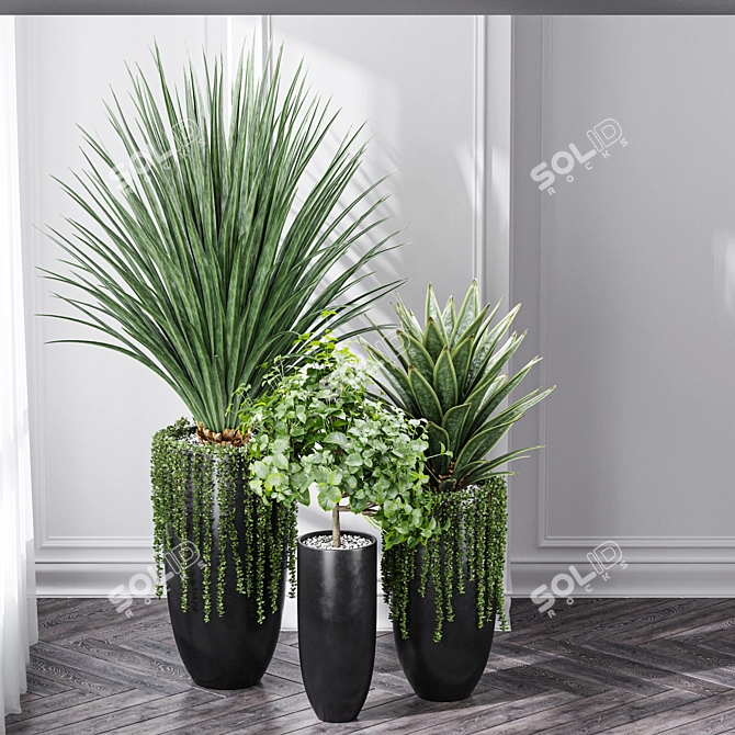 Large Indoor Artificial Succulents for Office Decor 3D model image 2