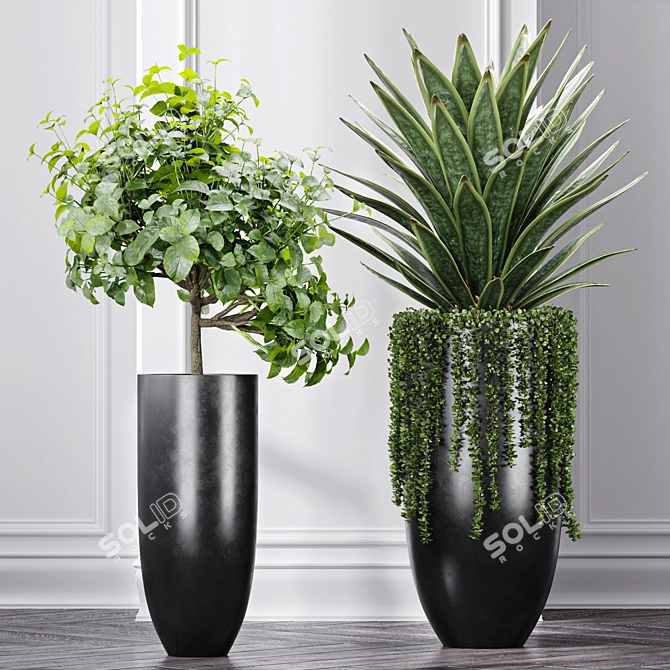 Large Indoor Artificial Succulents for Office Decor 3D model image 3