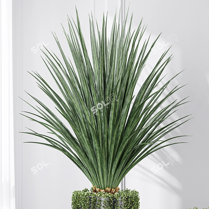 Large Indoor Artificial Succulents for Office Decor 3D model image 5