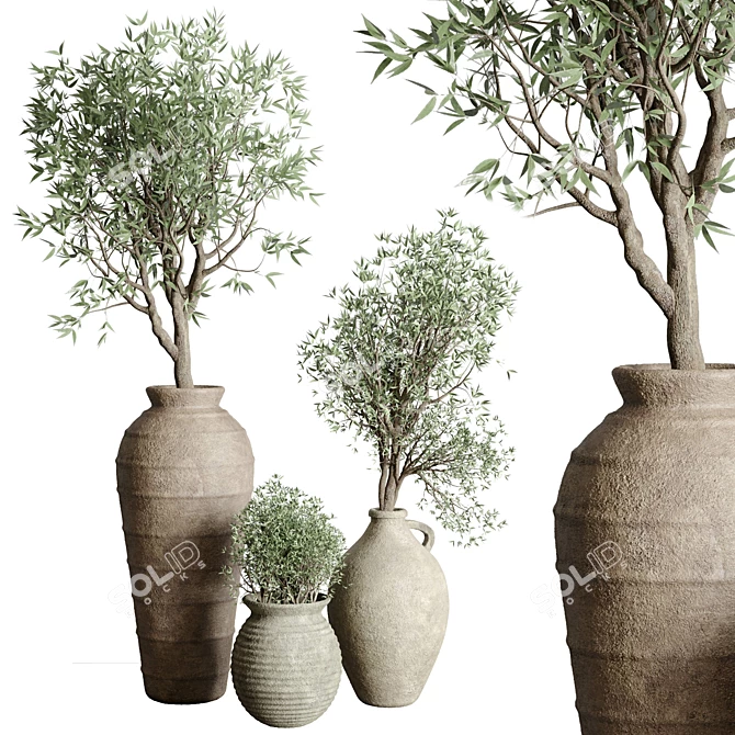 Vintage Olive Tree Indoor Collection 3D model image 1