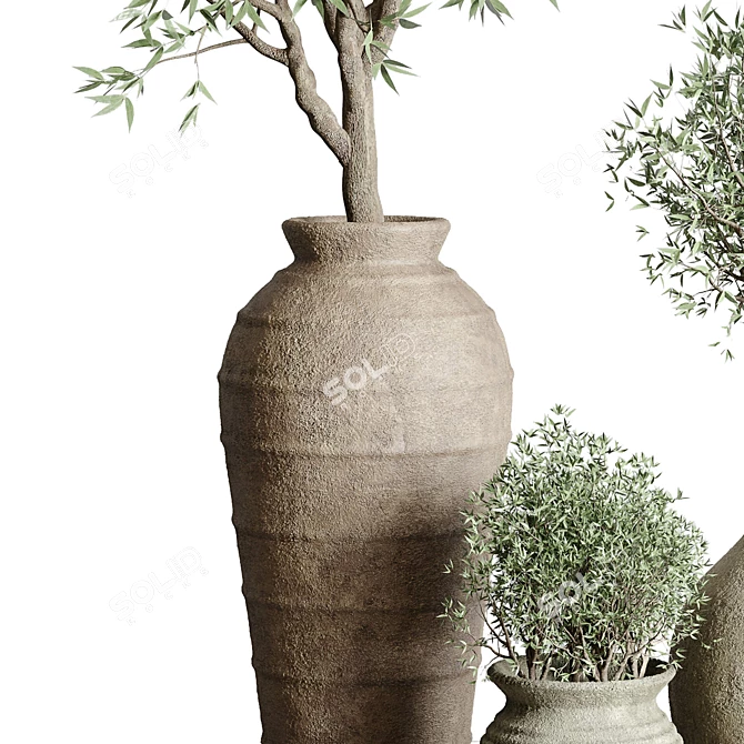 Vintage Olive Tree Indoor Collection 3D model image 3