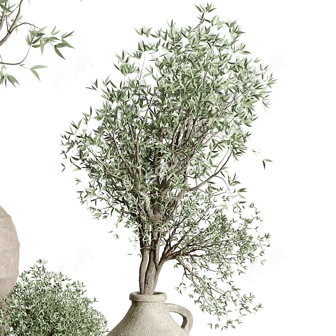 Vintage Olive Tree Indoor Collection 3D model image 5