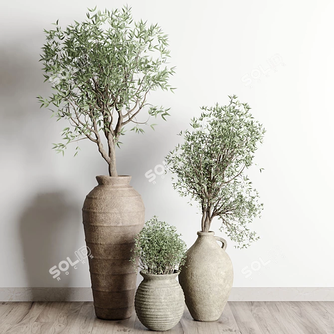 Vintage Olive Tree Indoor Collection 3D model image 7