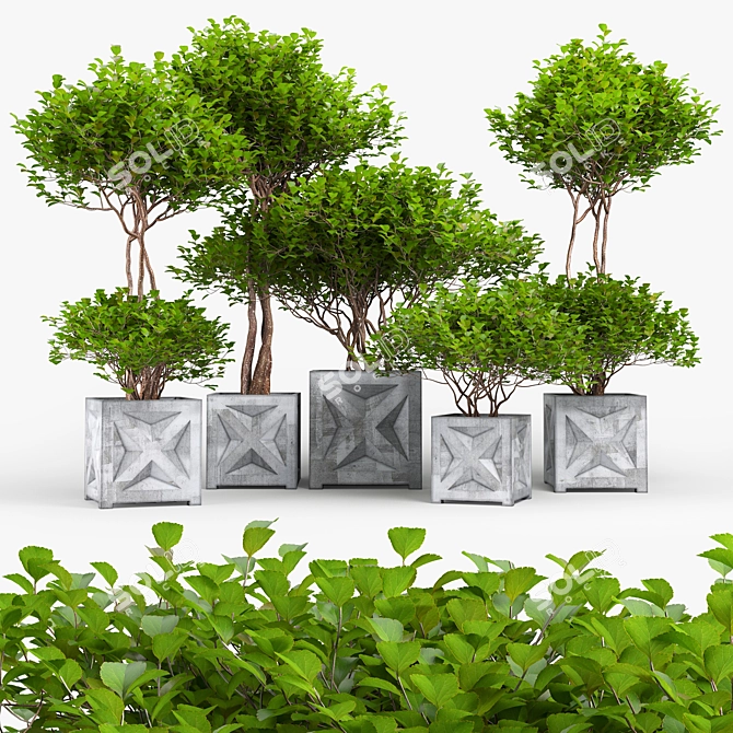 Exotic Bush: High-quality 3D Model 3D model image 1