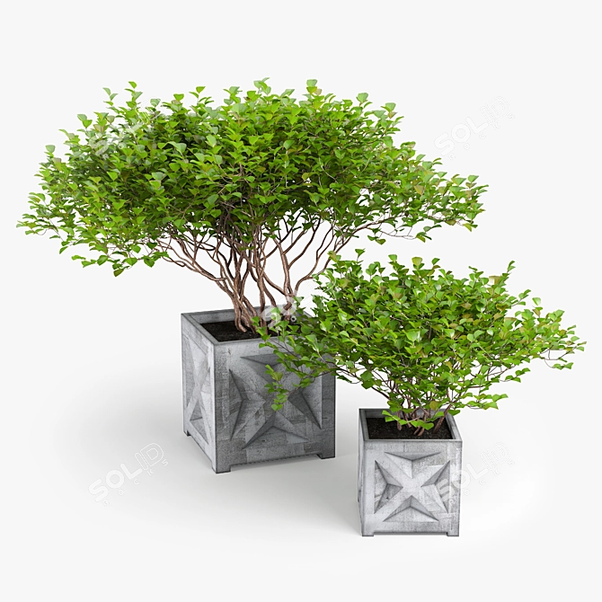 Exotic Bush: High-quality 3D Model 3D model image 3