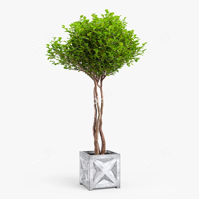 Exotic Bush: High-quality 3D Model 3D model image 6