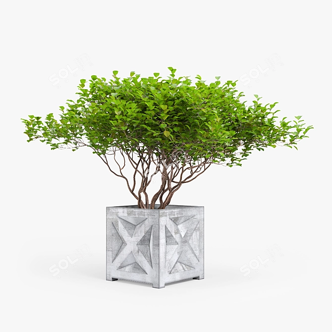 Exotic Bush: High-quality 3D Model 3D model image 7