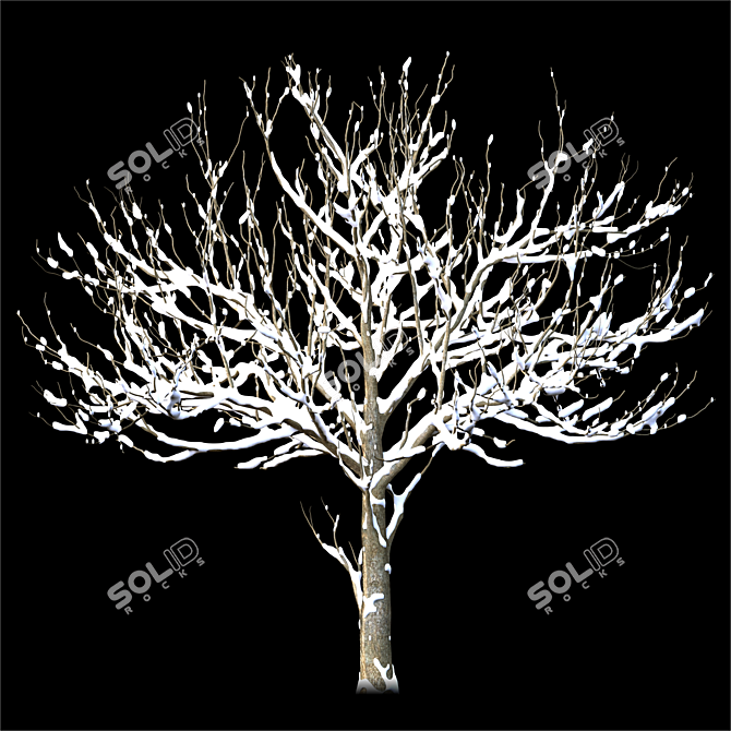 Lush Landscape Tree: 3D Model 3D model image 8