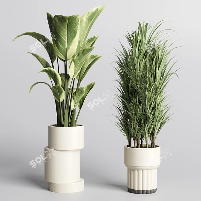 Minimalistic Indoor Plant Collection 3D model image 2