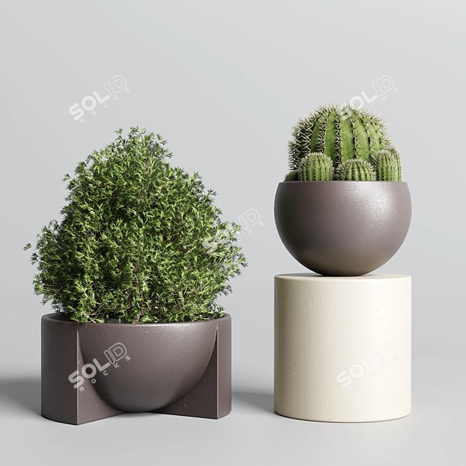 Minimalistic Indoor Plant Collection 3D model image 4