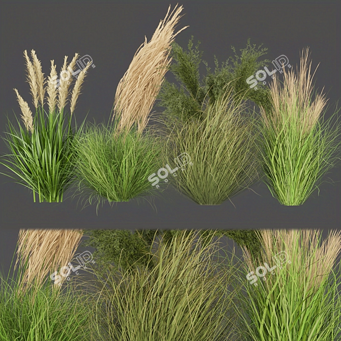 Outdoor Grass Collection: Vol. 287 3D model image 1