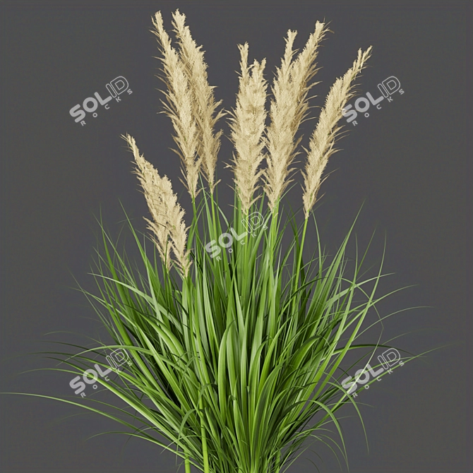 Outdoor Grass Collection: Vol. 287 3D model image 2