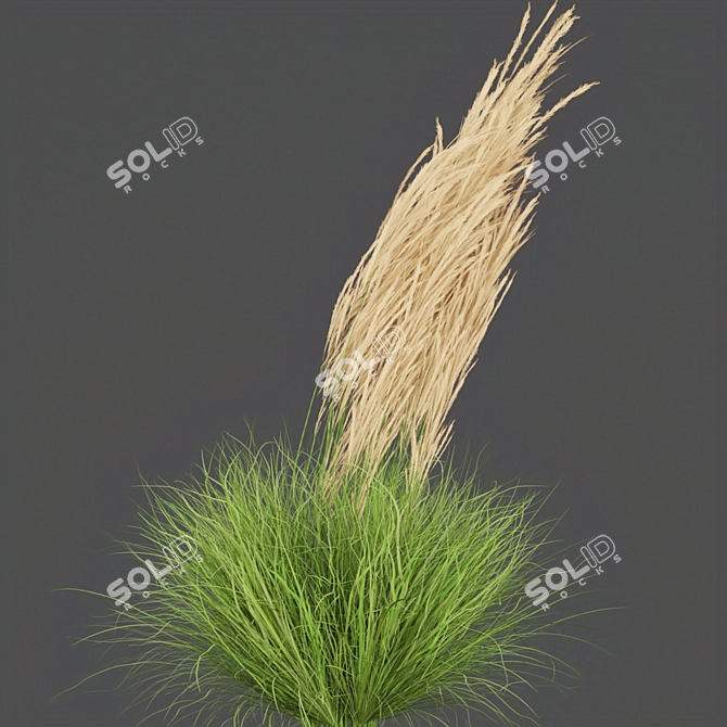 Outdoor Grass Collection: Vol. 287 3D model image 3