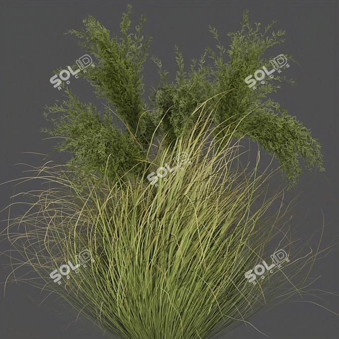 Outdoor Grass Collection: Vol. 287 3D model image 4