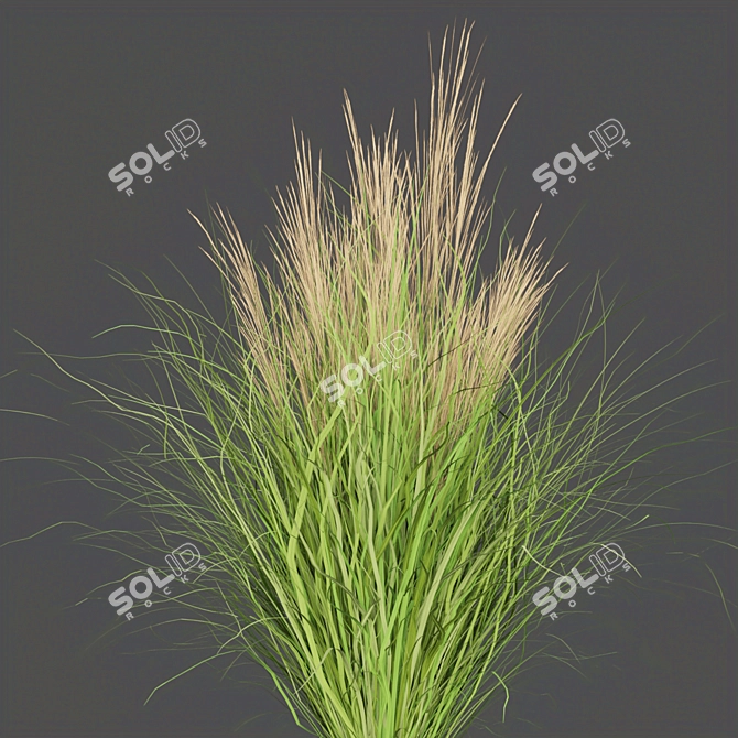 Outdoor Grass Collection: Vol. 287 3D model image 5