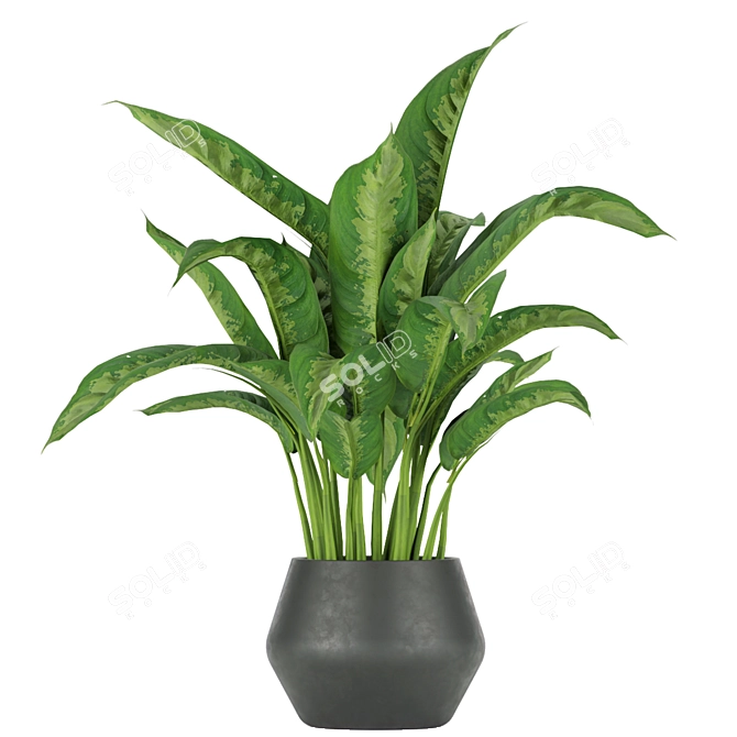 Greenery Delight: Indoor Aglaonema Leaf Collection 3D model image 3