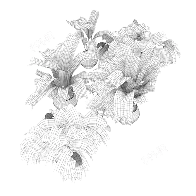 Greenery Delight: Indoor Aglaonema Leaf Collection 3D model image 7