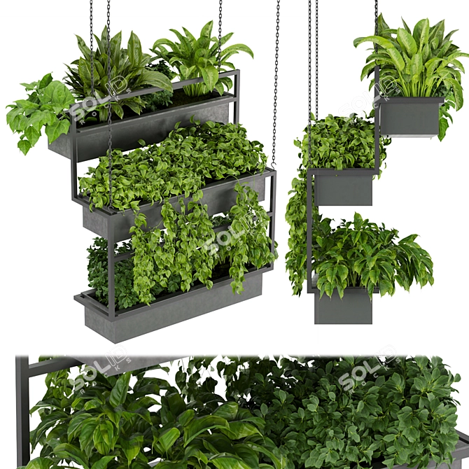 Hanging Indoor Ampelous Plant - Collection Vol. 295 3D model image 1