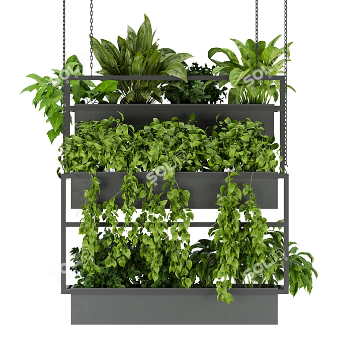 Hanging Indoor Ampelous Plant - Collection Vol. 295 3D model image 4