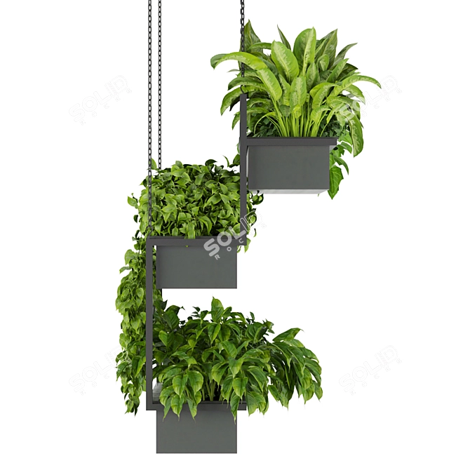 Hanging Indoor Ampelous Plant - Collection Vol. 295 3D model image 5