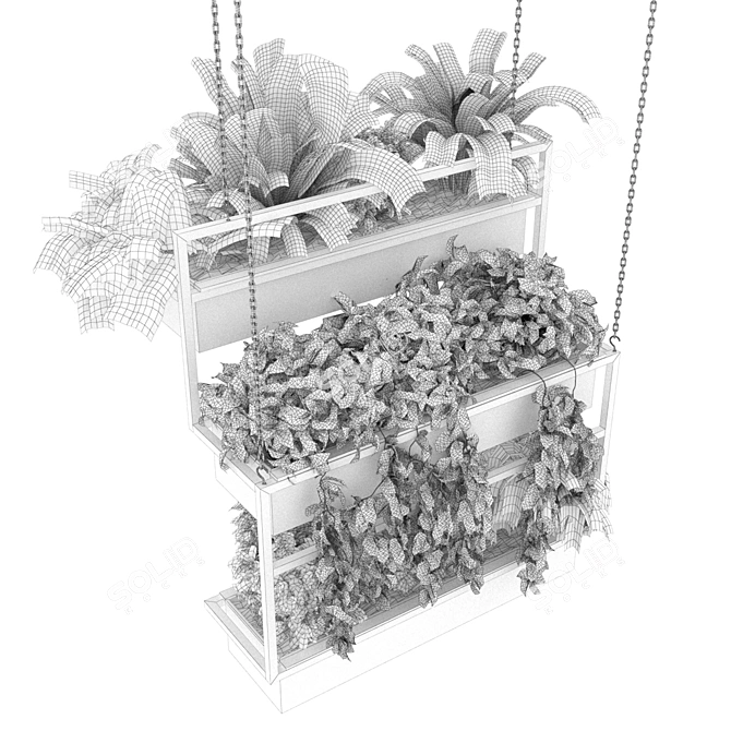 Hanging Indoor Ampelous Plant - Collection Vol. 295 3D model image 6