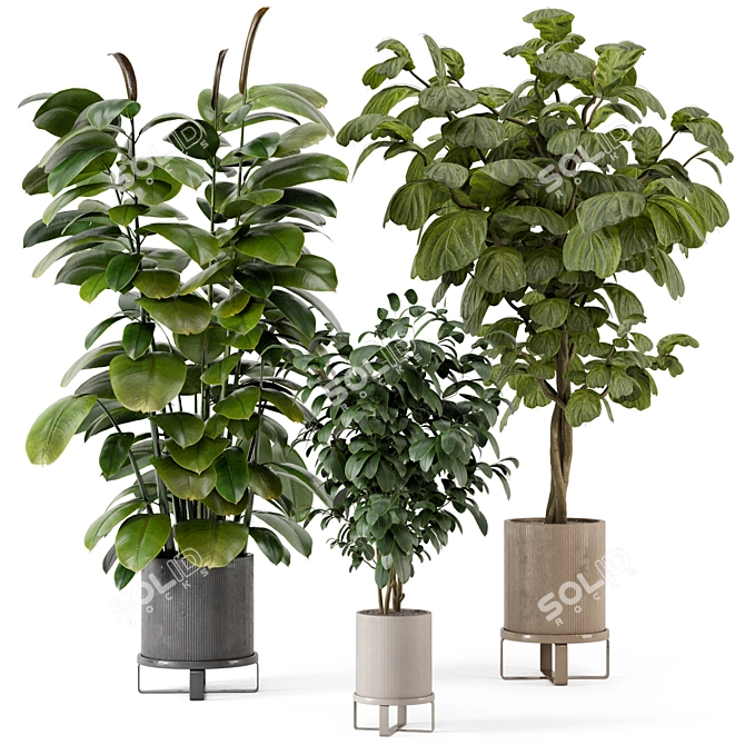 Ferm Living Bau Pot Large - Set 422: Stylish Indoor Plants 3D model image 1