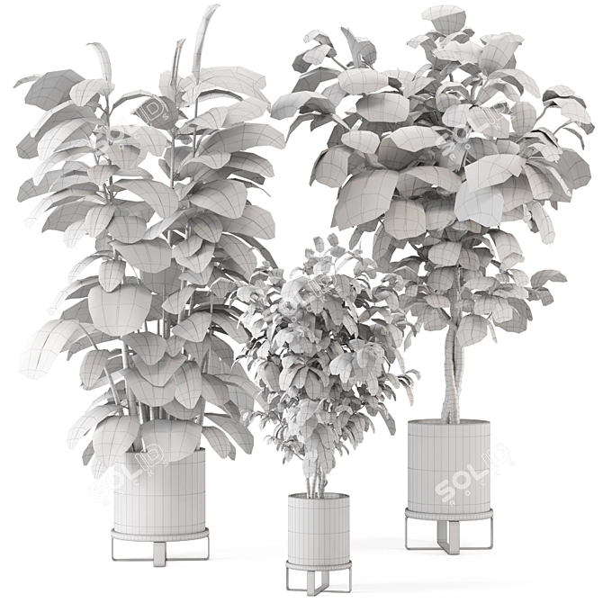 Ferm Living Bau Pot Large - Set 422: Stylish Indoor Plants 3D model image 6