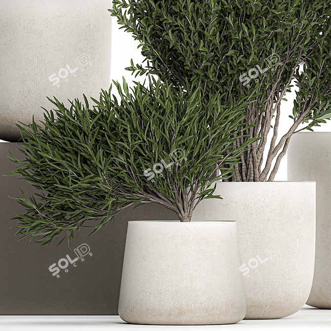 Exotic Plant Collection: Decorative Indoor & Outdoor Plants in Concrete Pots 3D model image 4