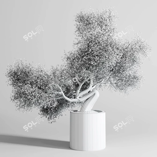 Concrete Bonsai Vase - Outdoor Plant Pot 3D model image 5