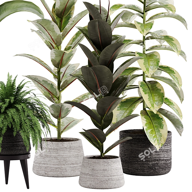 Green Oasis Indoor Plant Set 3D model image 3