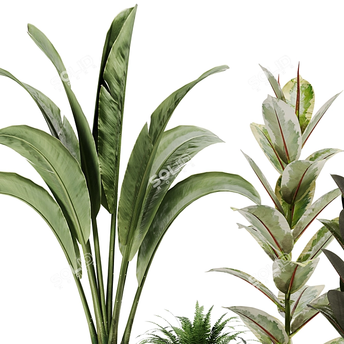 Green Oasis Indoor Plant Set 3D model image 4