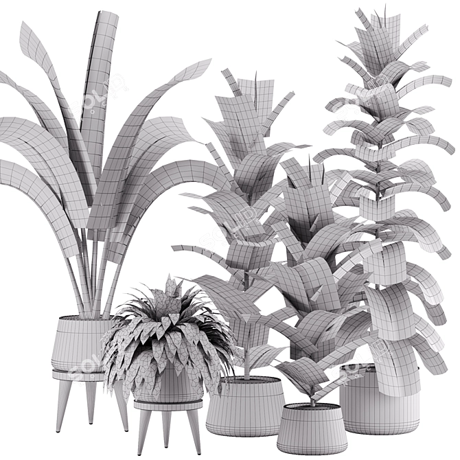 Green Oasis Indoor Plant Set 3D model image 7