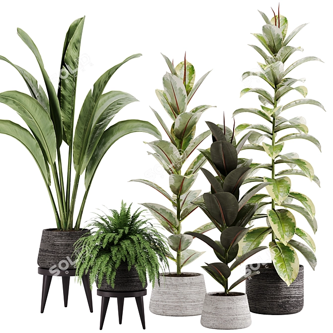 Green Oasis Indoor Plant Set 3D model image 8