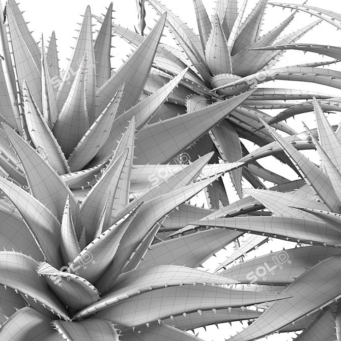 2013 Aloe Brevifolia: Unique Short Leaf Succulent 3D model image 6