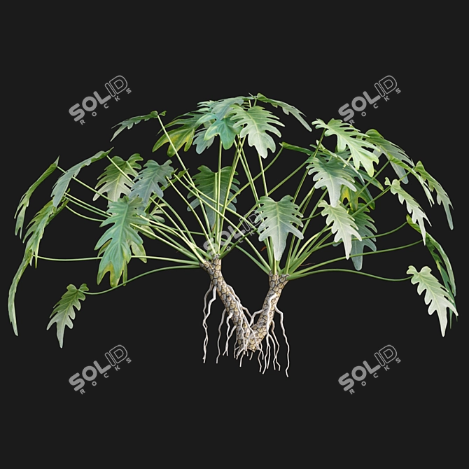 Title: Tropical Vibes: Philodendron Xanadu 3D model image 6