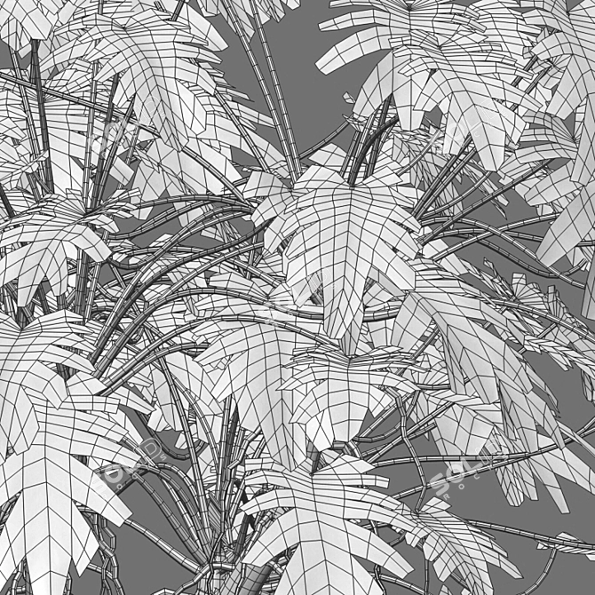 Philodendron Xanadu Plant 3D Models 3D model image 3