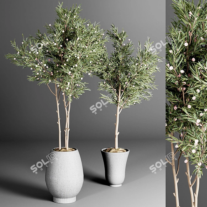Indoor Plant Collection: 24 Exquisite Varieties 3D model image 4