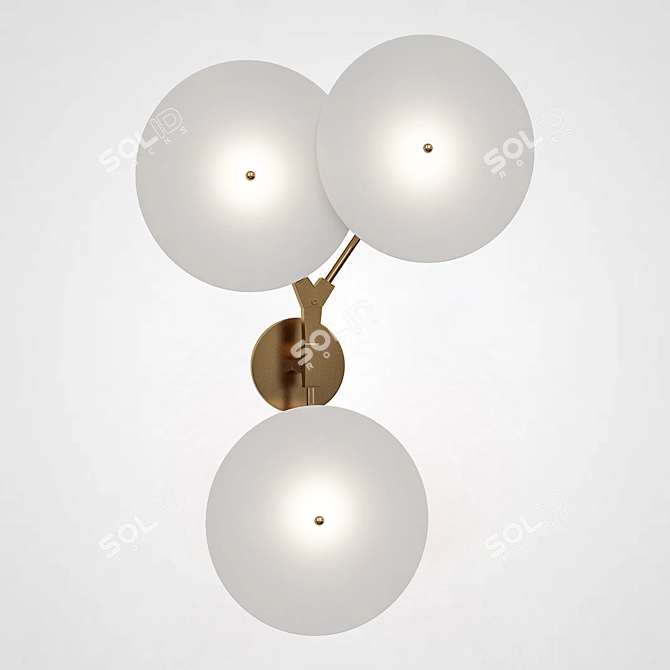 Porcelain Disc Wall Lamp: Lindsey Adelman Branching 3D model image 2