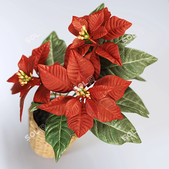 FEJKA Christmas Star: Lifelike Artificial Plant for Home or Outdoor Use 3D model image 3