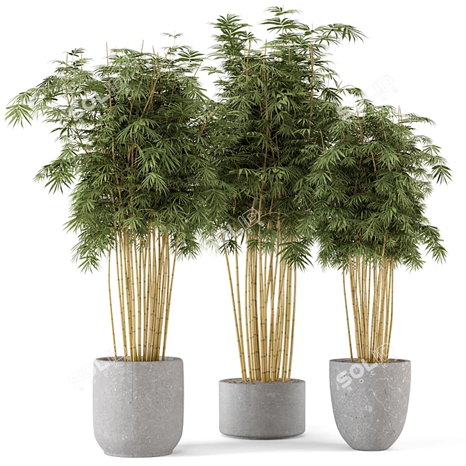 Rustic Concrete Pot Bamboo Set 3D model image 2