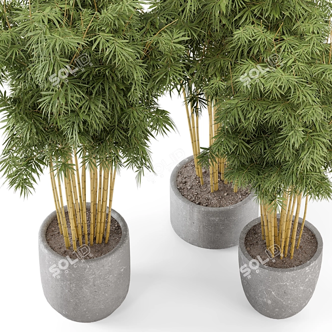 Rustic Concrete Pot Bamboo Set 3D model image 3