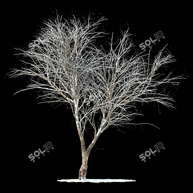 Snow-Covered Rowan Tree Sculpture 3D model image 1