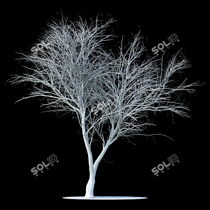 Snow-Covered Rowan Tree Sculpture 3D model image 2