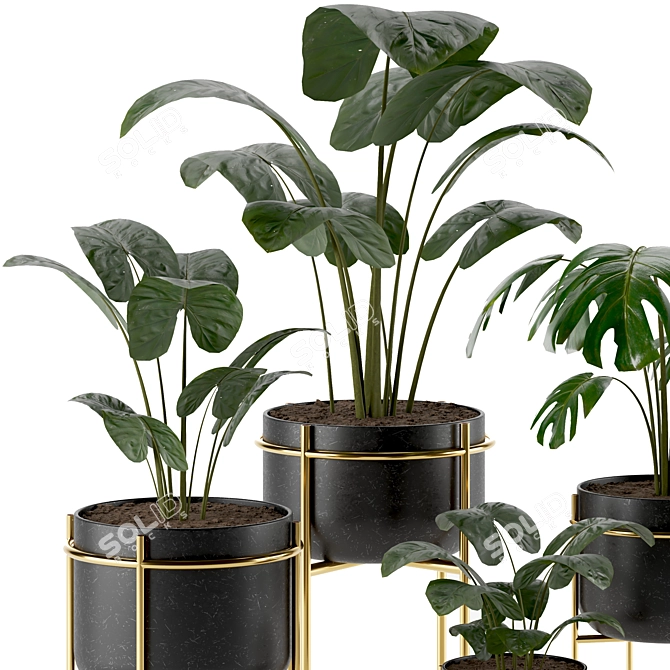 Indoor Houseplants Set: Natural Greenery for Your Home 3D model image 2